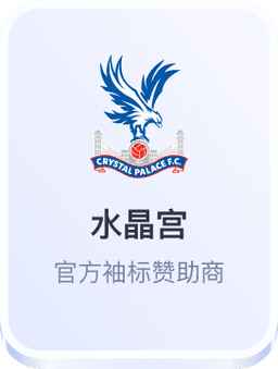 开云体育水晶宫官方袖标赞助商