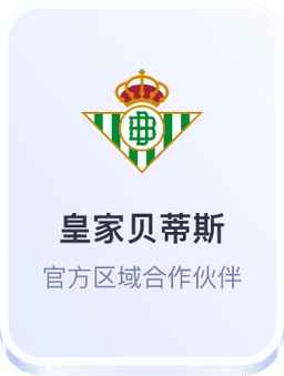 开云体育皇家贝蒂斯合作伙伴